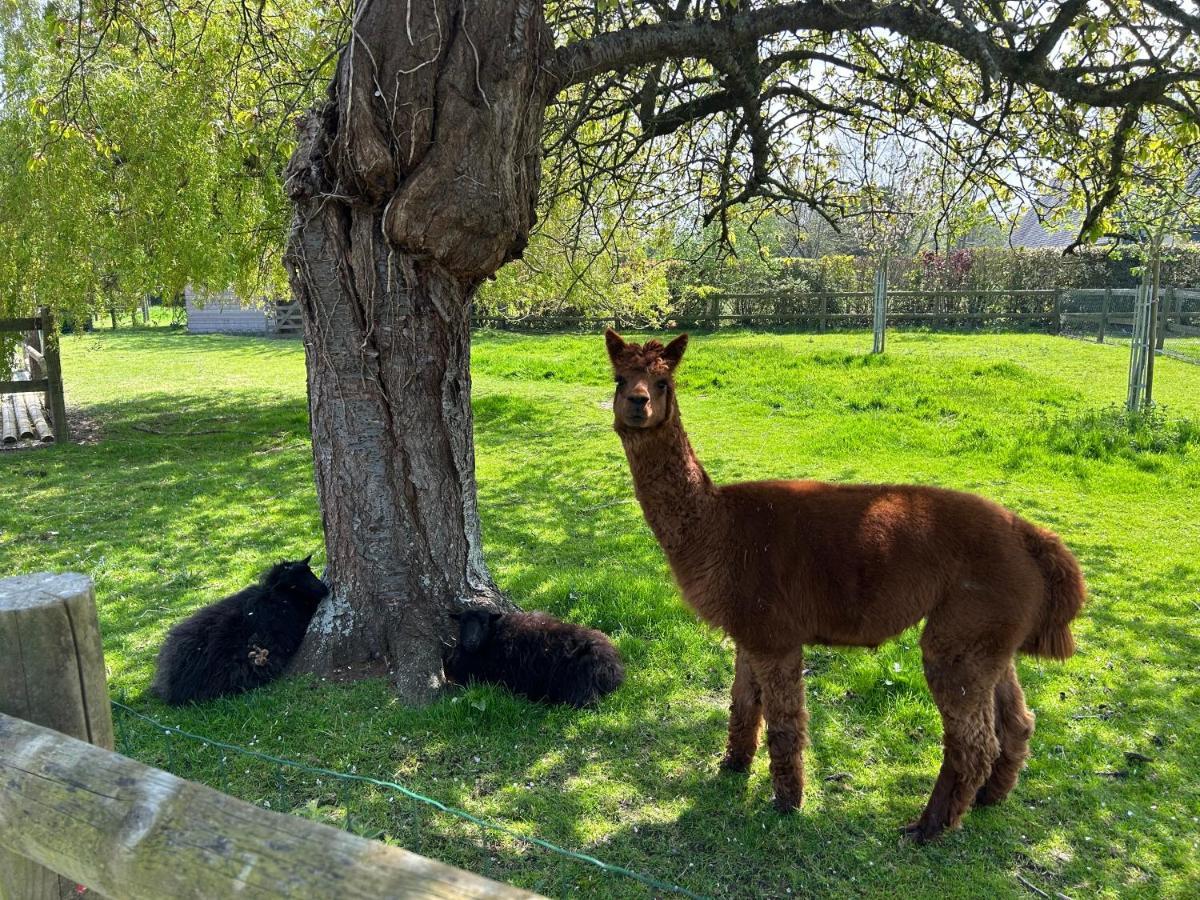 Bed & Breakfast Aux Murmures De La Nature